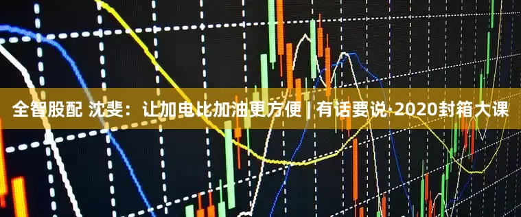全智股配 沈斐：让加电比加油更方便 | 有话要说·2020封箱大课